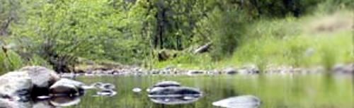 Sulpher Creek Stream Restoration Project  Salix Applied Earth Care