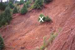 landslide repair